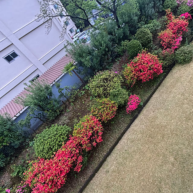 syutmmさんの部屋