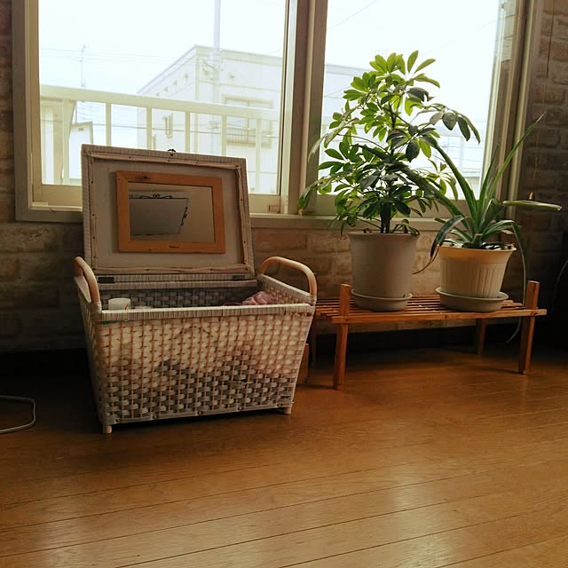 eriさんの実例写真