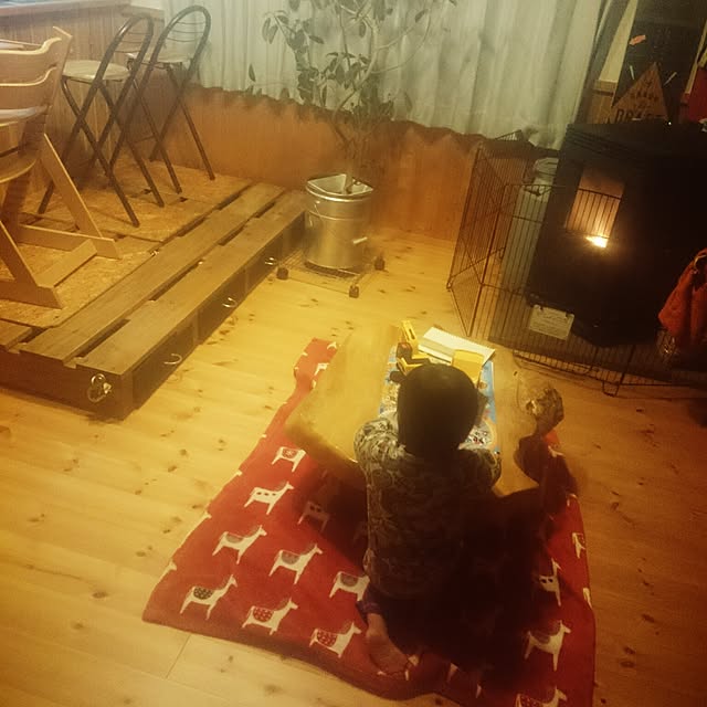 hayapapaさんの実例写真