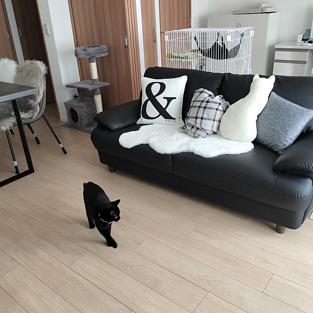 sakuraさんの部屋