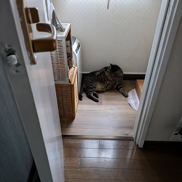 mori_6_12さんの部屋