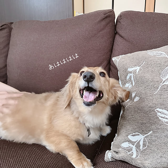 -Riley-mama.-さんの部屋