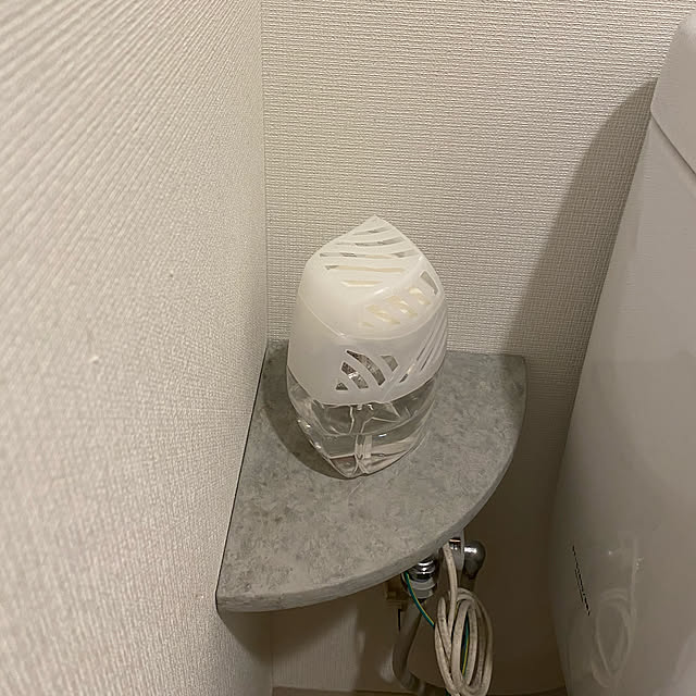 リメイク/コンクリートエフェクトペイント/壁紙屋本舗/キャンドゥ/バス/トイレのインテリア実例 - 2021-05-05 10:35:03