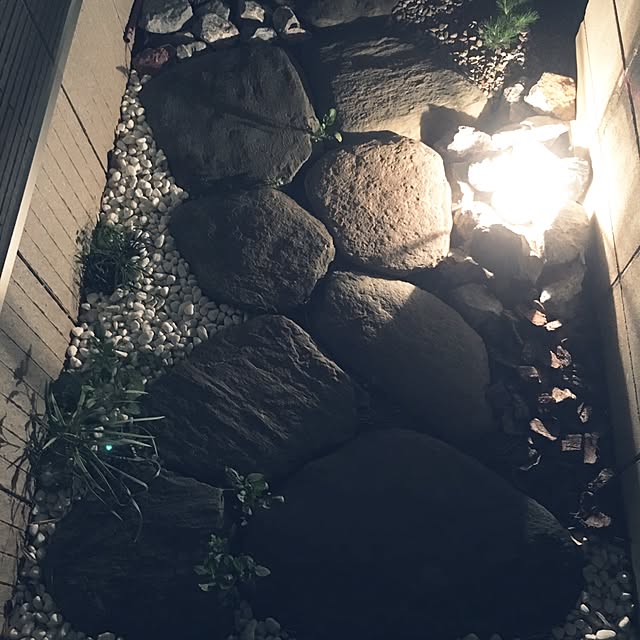 kokepapaさんの実例写真