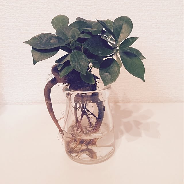 minamonta0307さんの実例写真