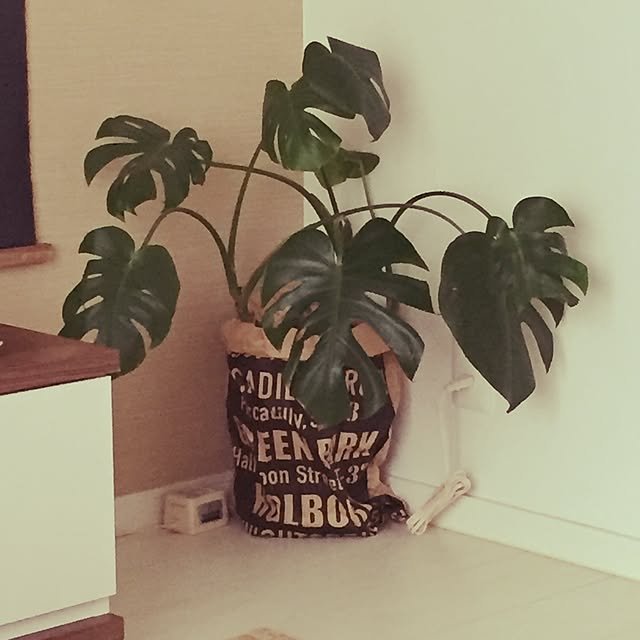 afarさんの実例写真