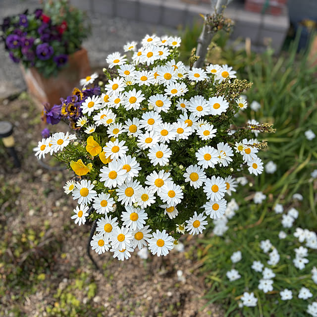 ritsukoさんの部屋