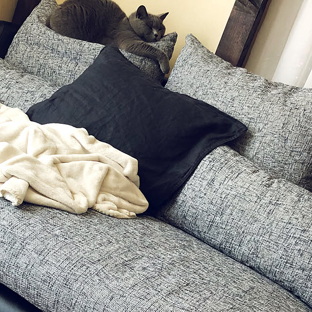 y_uu122さんの実例写真