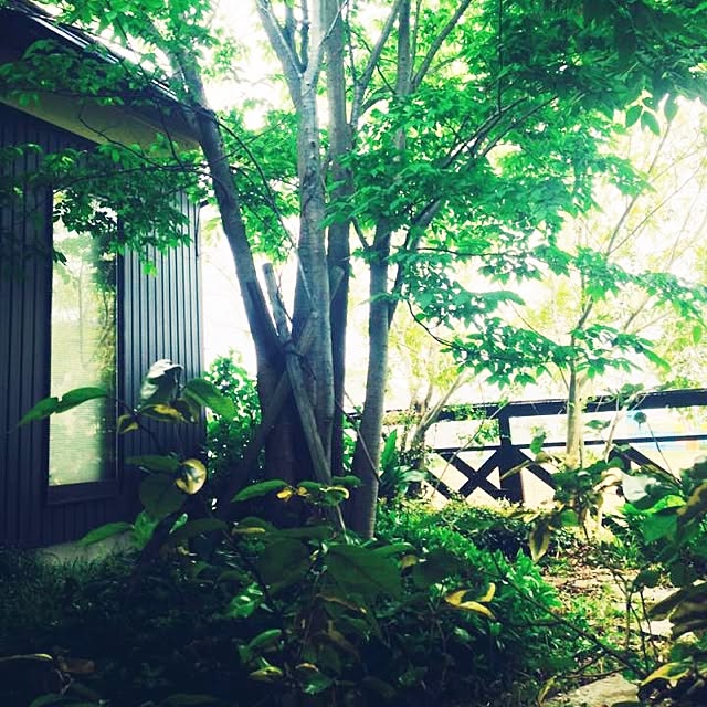 mm319さんの実例写真