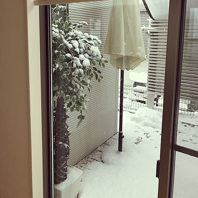 riehouseさんの実例写真