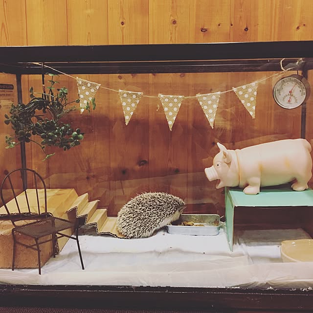 Kazuさんの実例写真