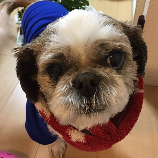 emiさんの実例写真