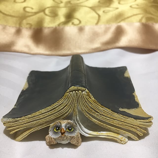miporinさんの実例写真