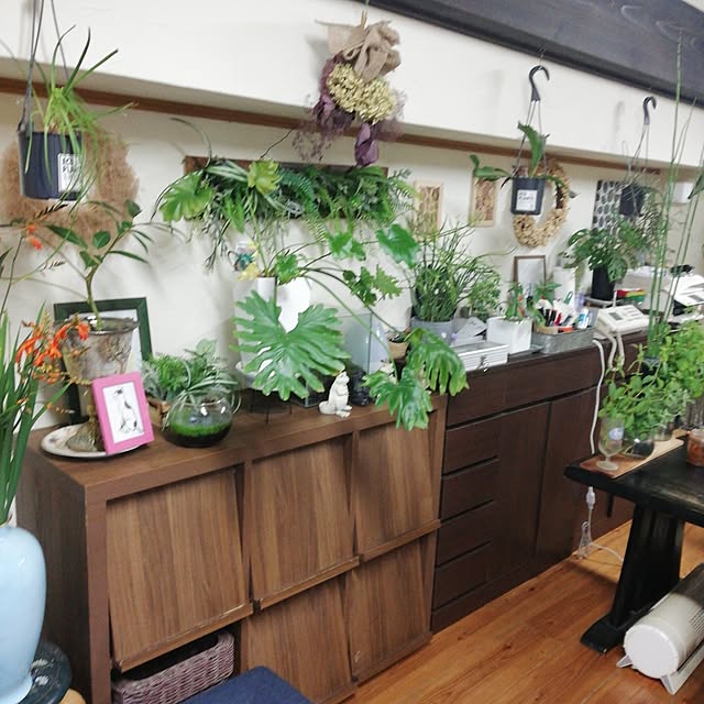 shusen.miyaさんの実例写真