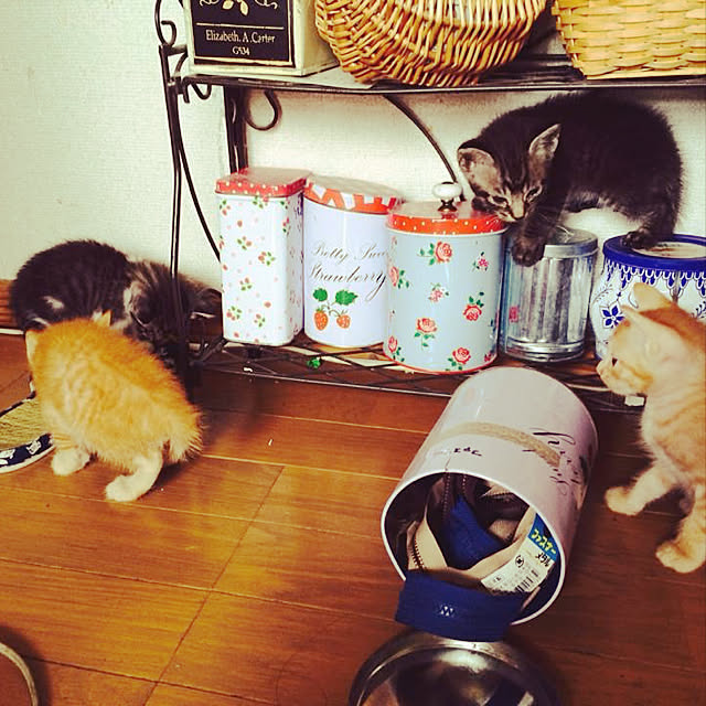 7kidsmamさんの実例写真