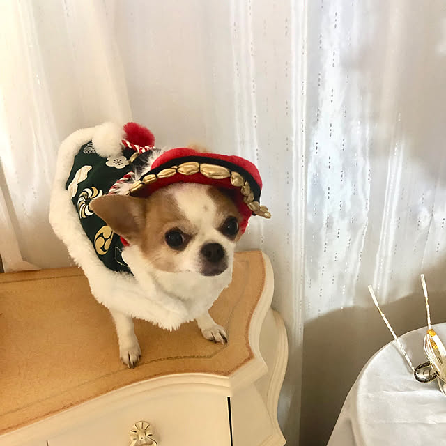 cocoさんの部屋