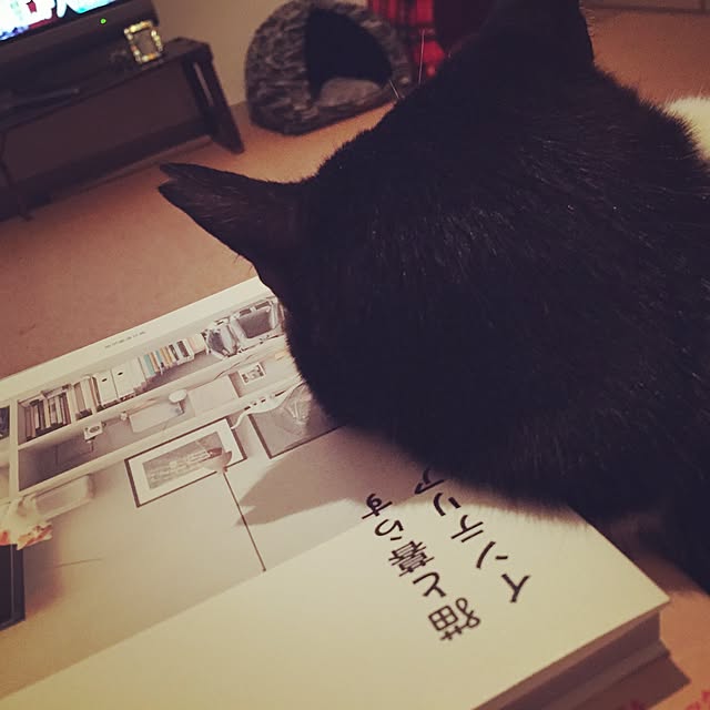 gonさんの実例写真