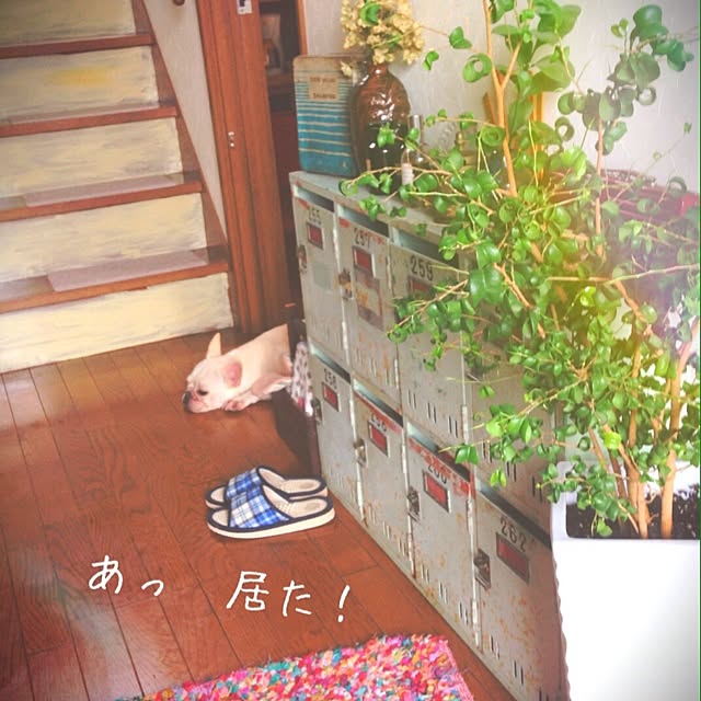 38coreさんの部屋