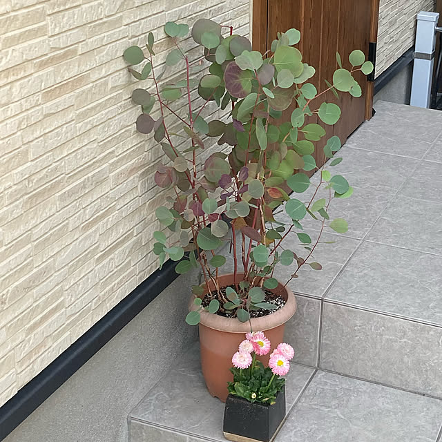 pi_chanさんの実例写真