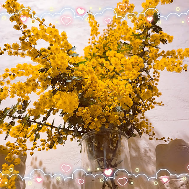 mimi828さんの実例写真