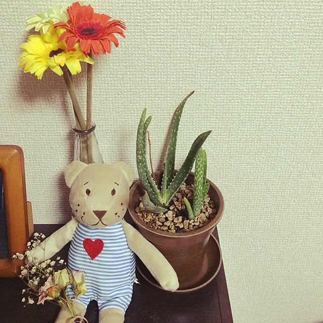 machanさんの実例写真