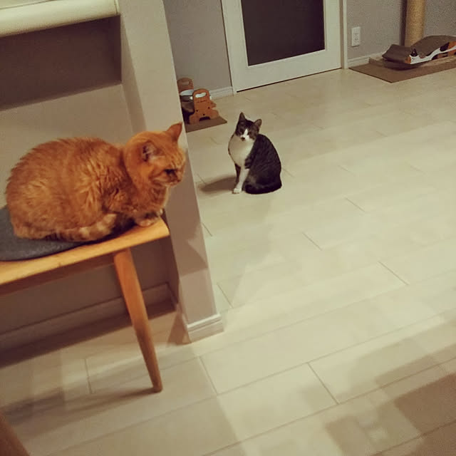 hanacocoさんの実例写真