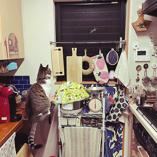jijiさんの実例写真