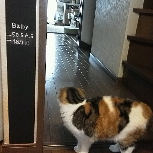 mikiさんの実例写真