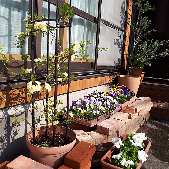 ichi-5さんの実例写真