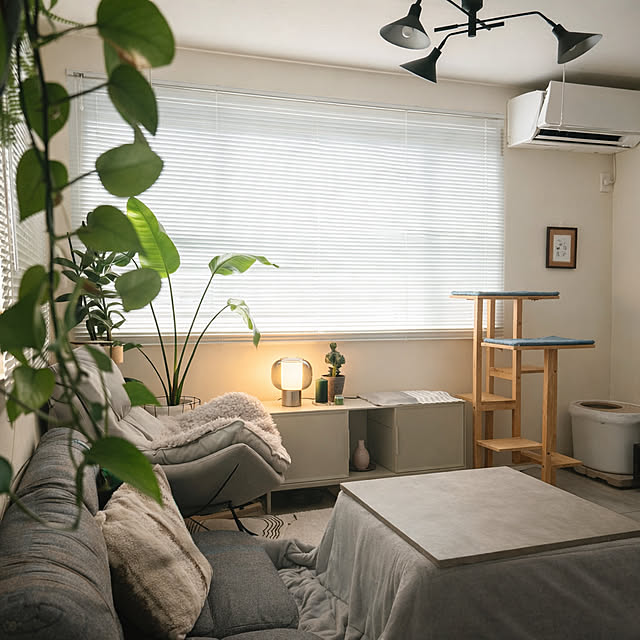 mako2yaさんの部屋