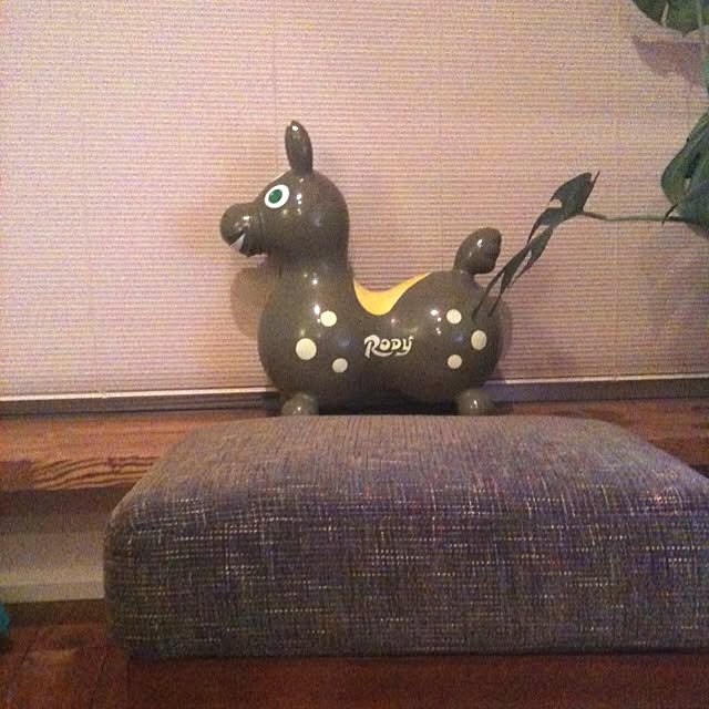 Makotoさんの実例写真