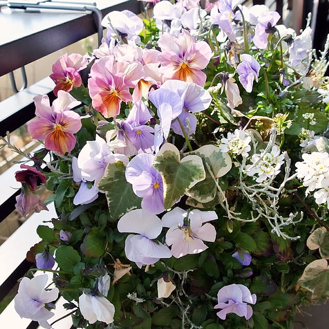 mo-koさんの実例写真