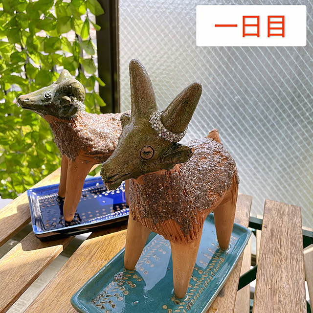aureaさんの実例写真