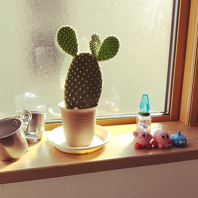 apoさんの部屋