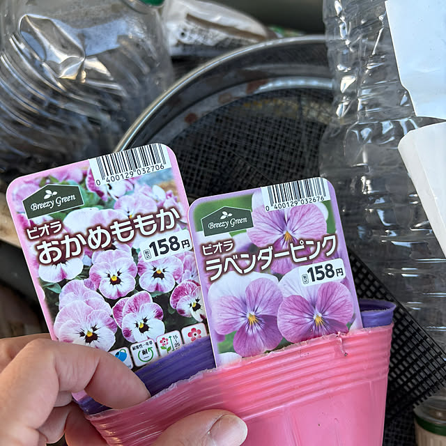 tasoさんの部屋
