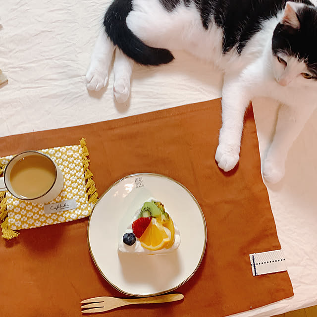 harukaさんの実例写真