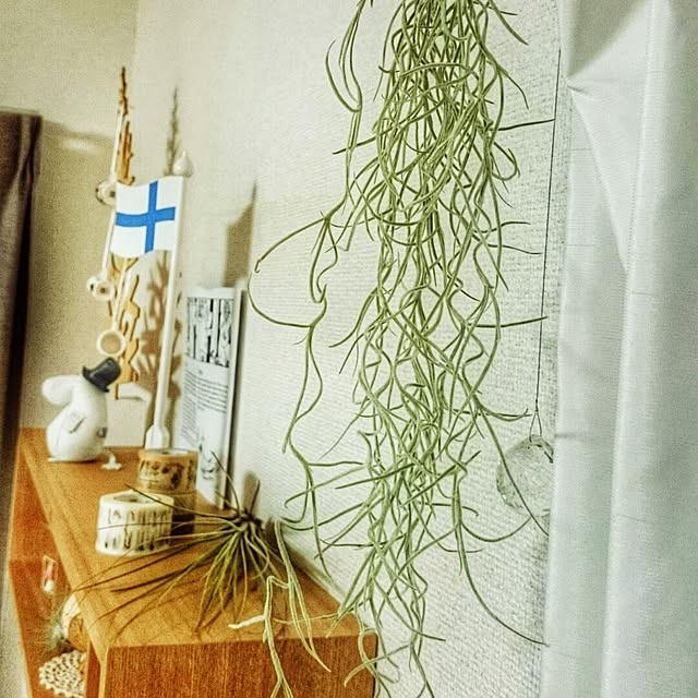 chicoさんの実例写真