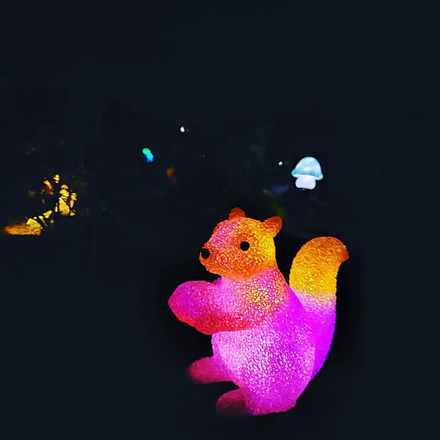 sakurakoさんの実例写真