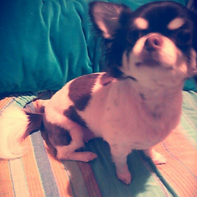 teさんの実例写真
