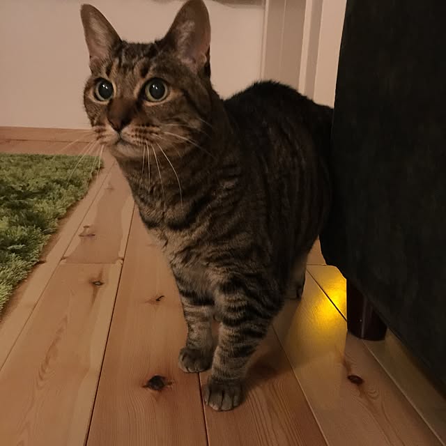 keeiikooさんの実例写真