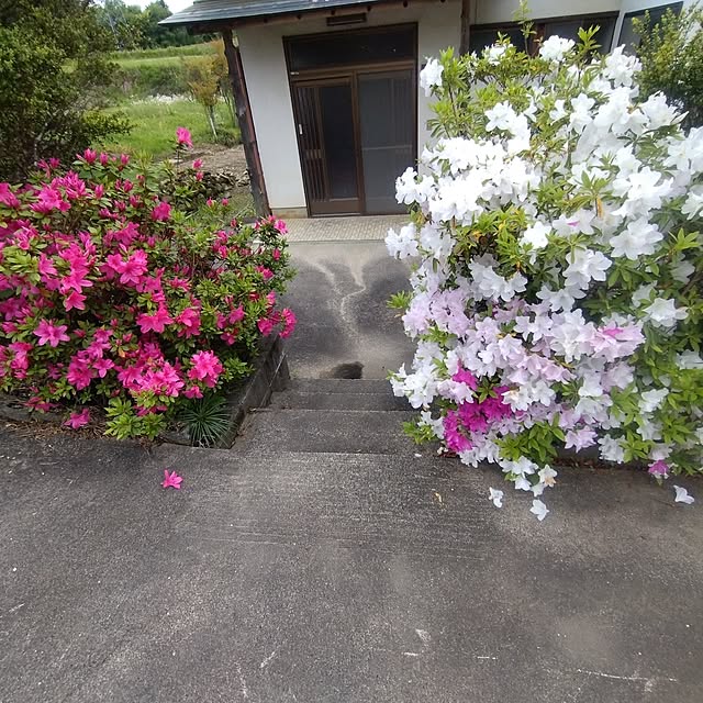 Rieさんの部屋