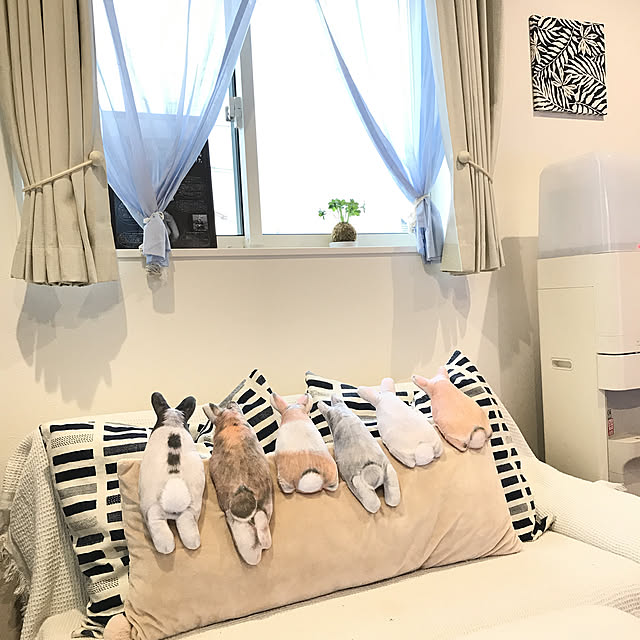 bonapetiさんの実例写真