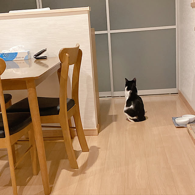 viraさんの実例写真
