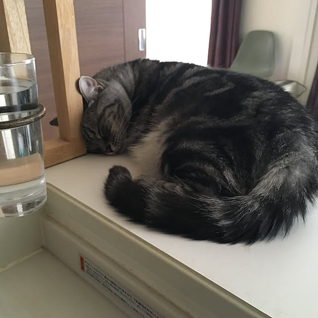 mikomaruさんの実例写真