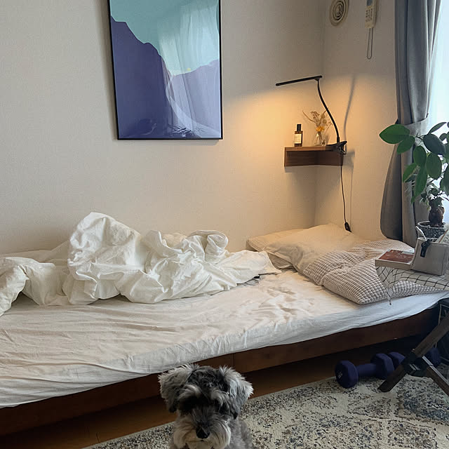muuさんの実例写真