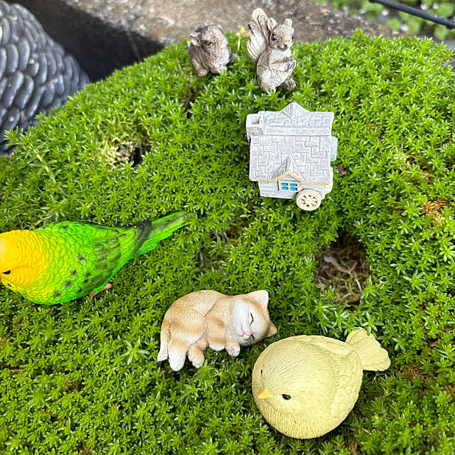 nannoさんの部屋