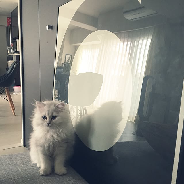 riorio1015さんの実例写真