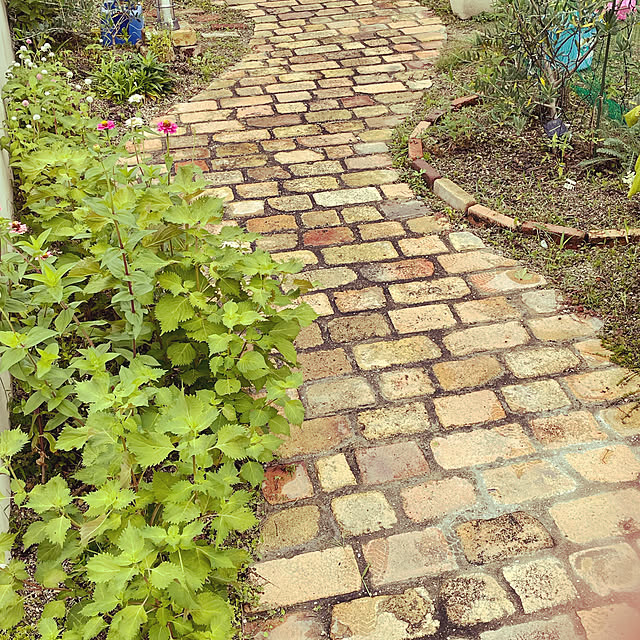hatikogardenさんの実例写真