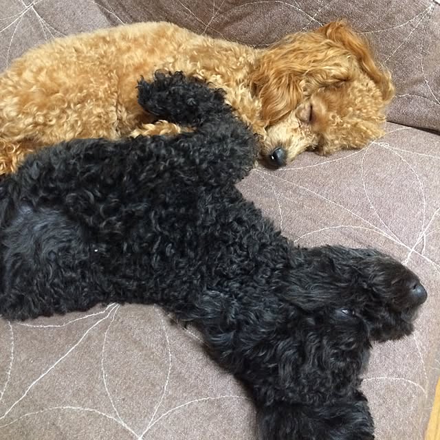 natulove0418さんの実例写真