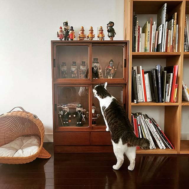 yuki1004さんの実例写真